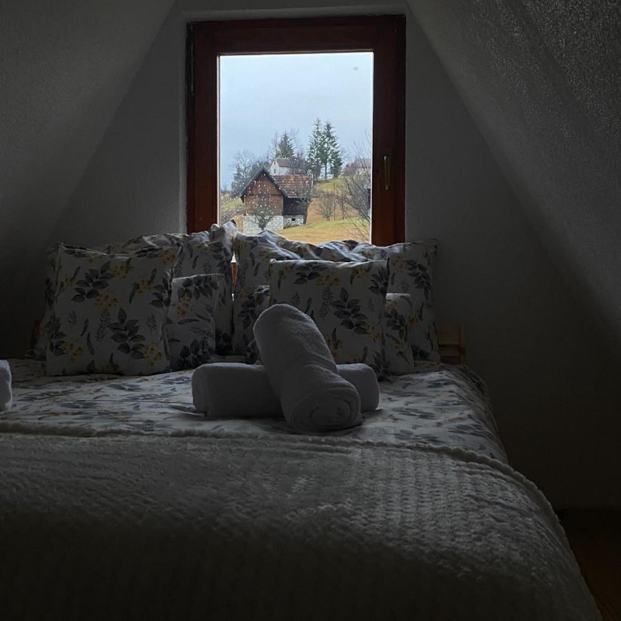Villa The Tara Concept à Sljivovica  Extérieur photo